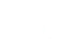 Wella Professional Logo